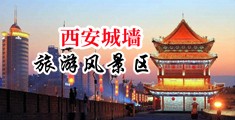 色站哦哦哦中国陕西-西安城墙旅游风景区