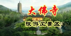 男女草逼免费观看中国浙江-新昌大佛寺旅游风景区